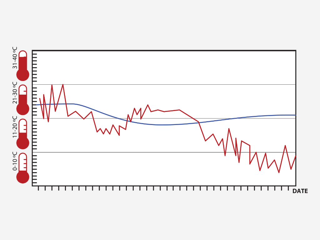 Compare average temperature of liner vs without liner