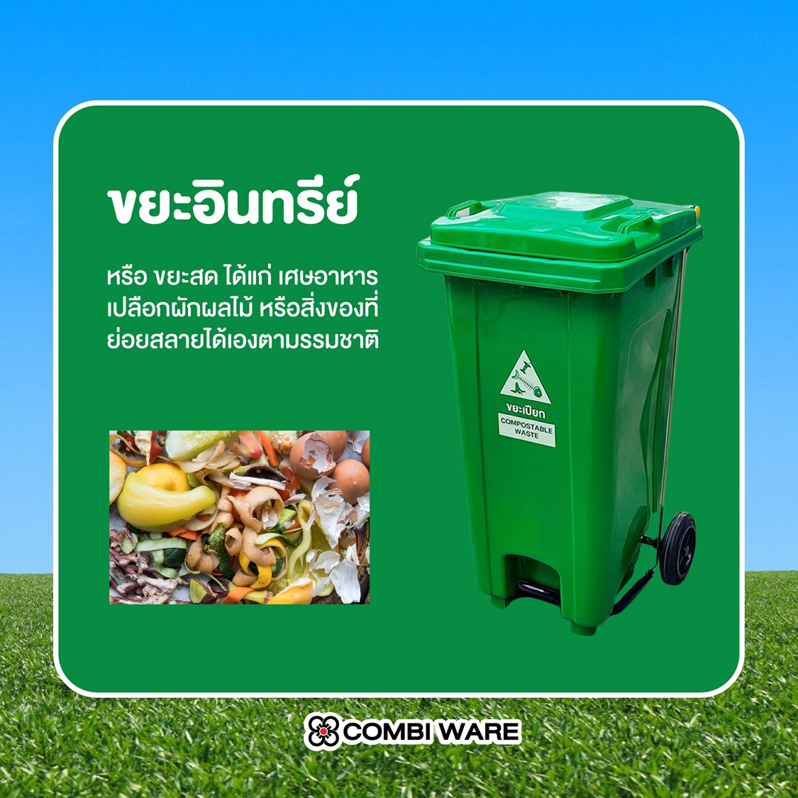 Waste Separation: A Key to Sustainable Environmental Management